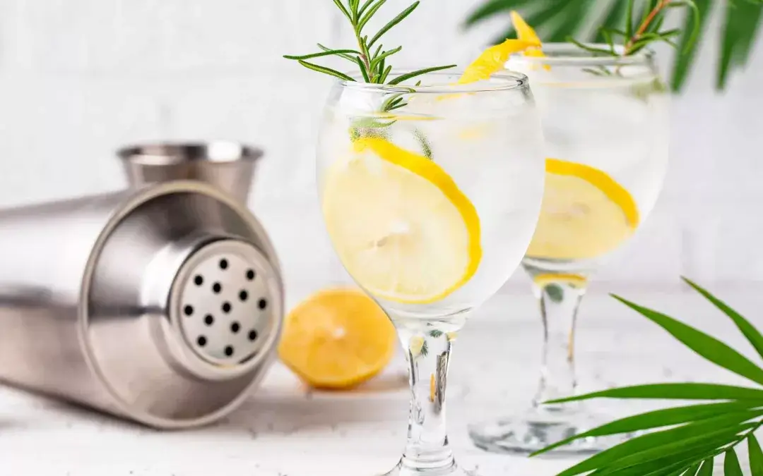 COCKTAIL GRANITE GIN TONIC