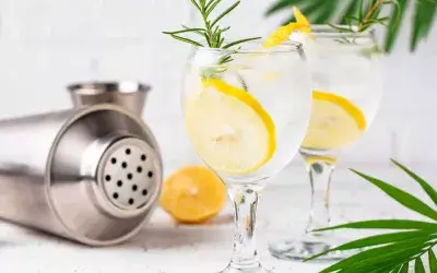 GRANIT GIN TONIC COCKTAIL