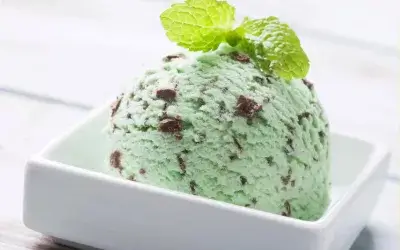 MINT CHOCOLATE ICE CREAM