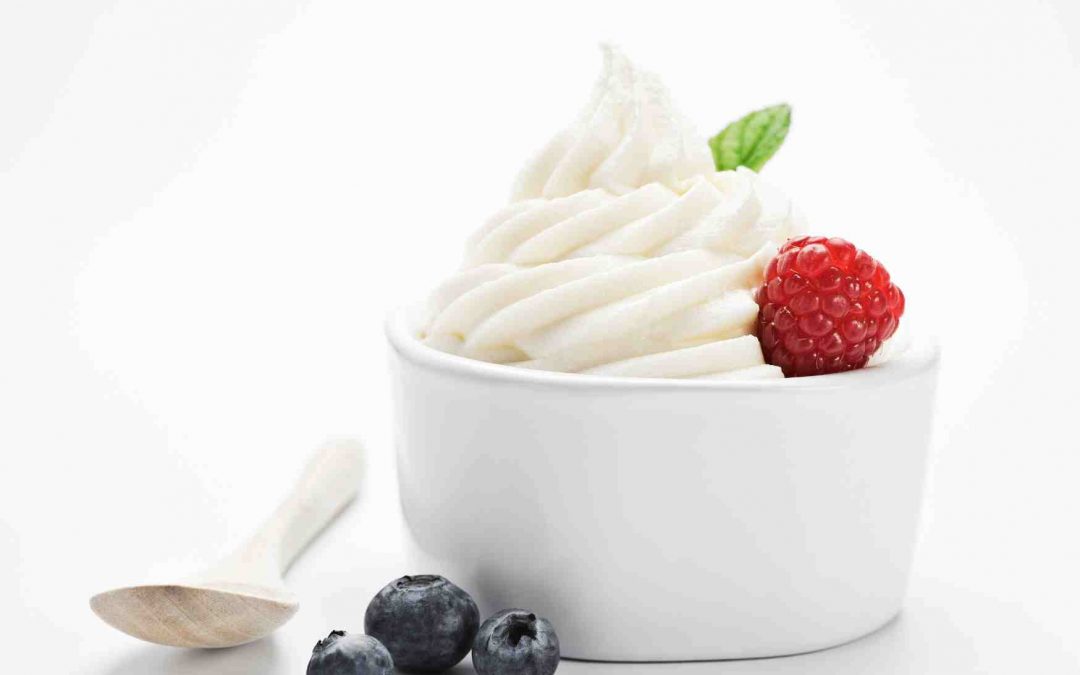 VANILLE gefrorener Joghurt