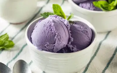 BLUEBERRY ICE CREAM