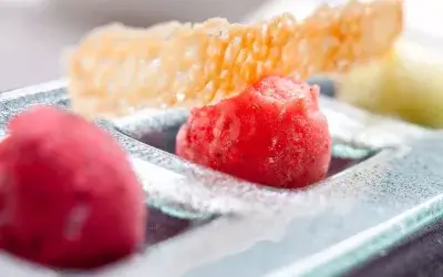 TOMATO AND BASIL SORBET