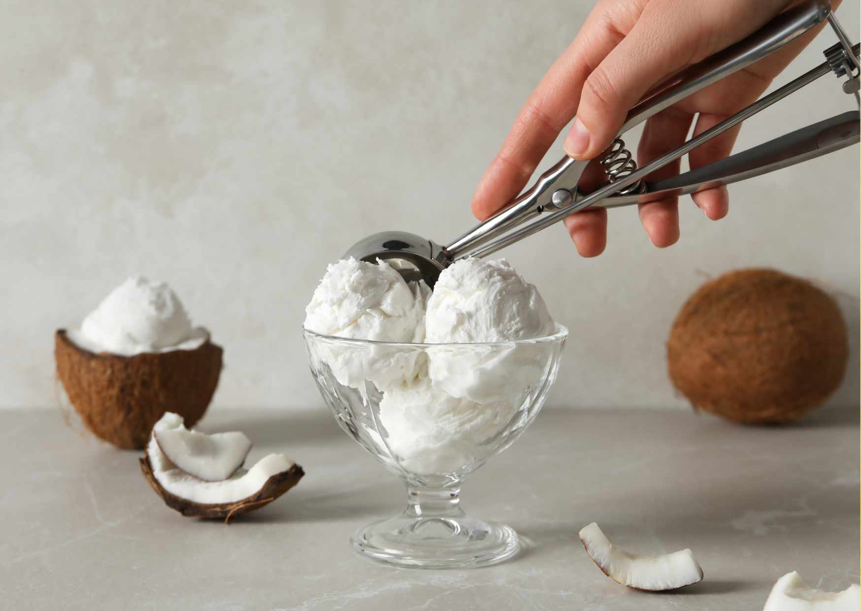 coconut protein ice cream ninja creami