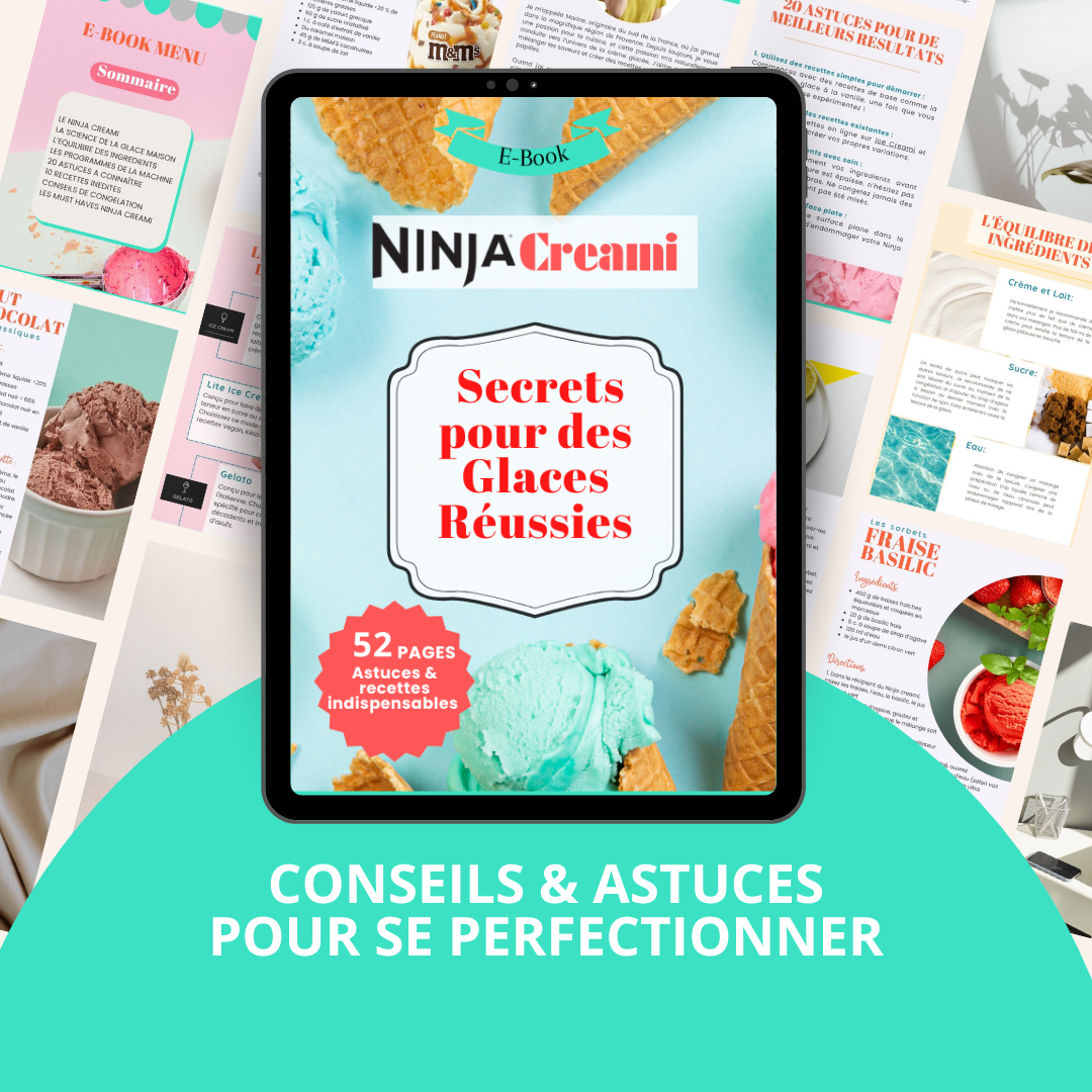 livre francais ninja creamii Conseils & astuces pour se perfectionner