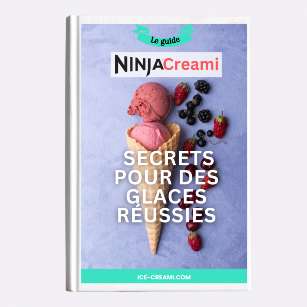 NinjaCreamiRezepte EisCreami