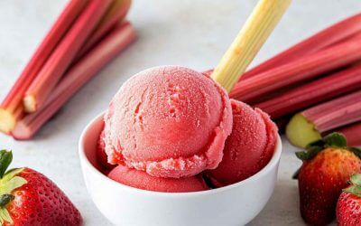 Strawberry-Rhubarb Sorbet with Ninja Creami