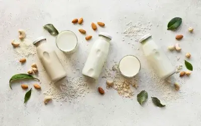 Consigli per fare il gelato vegano con Ninja Creami