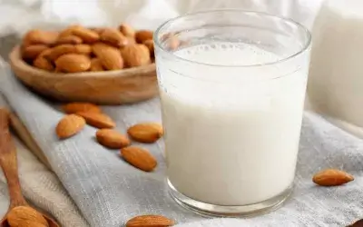 Le migliori basi per gelato da provare con i Ninja Creami