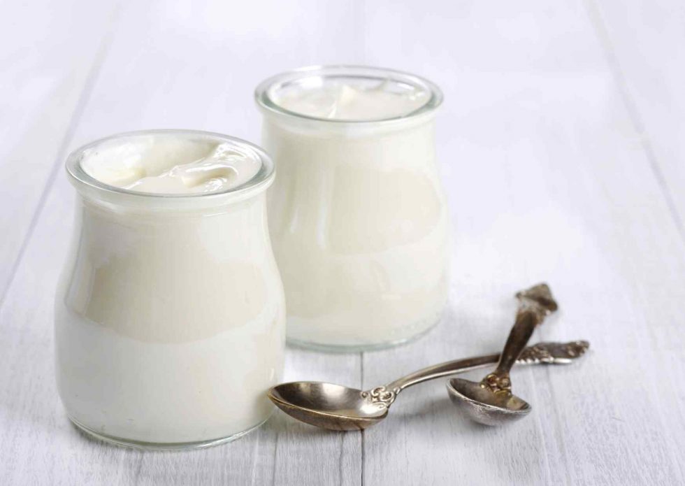 How to make perfect frozen yogurt with Ninja Creami Ice Creami