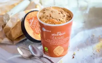 Économiser sur vos Glaces Maison : Comparaison des Coûts entre Glaces du Commerce et Ninja CREAMi