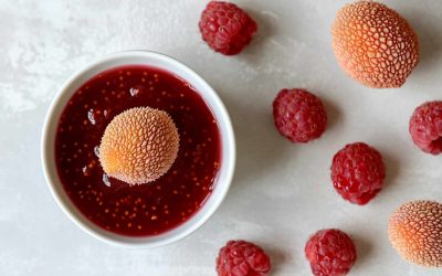 Lychee-Raspberry Coulis: A Fruity and Fragrant Duo for Your Ninja Creami Ice Creams