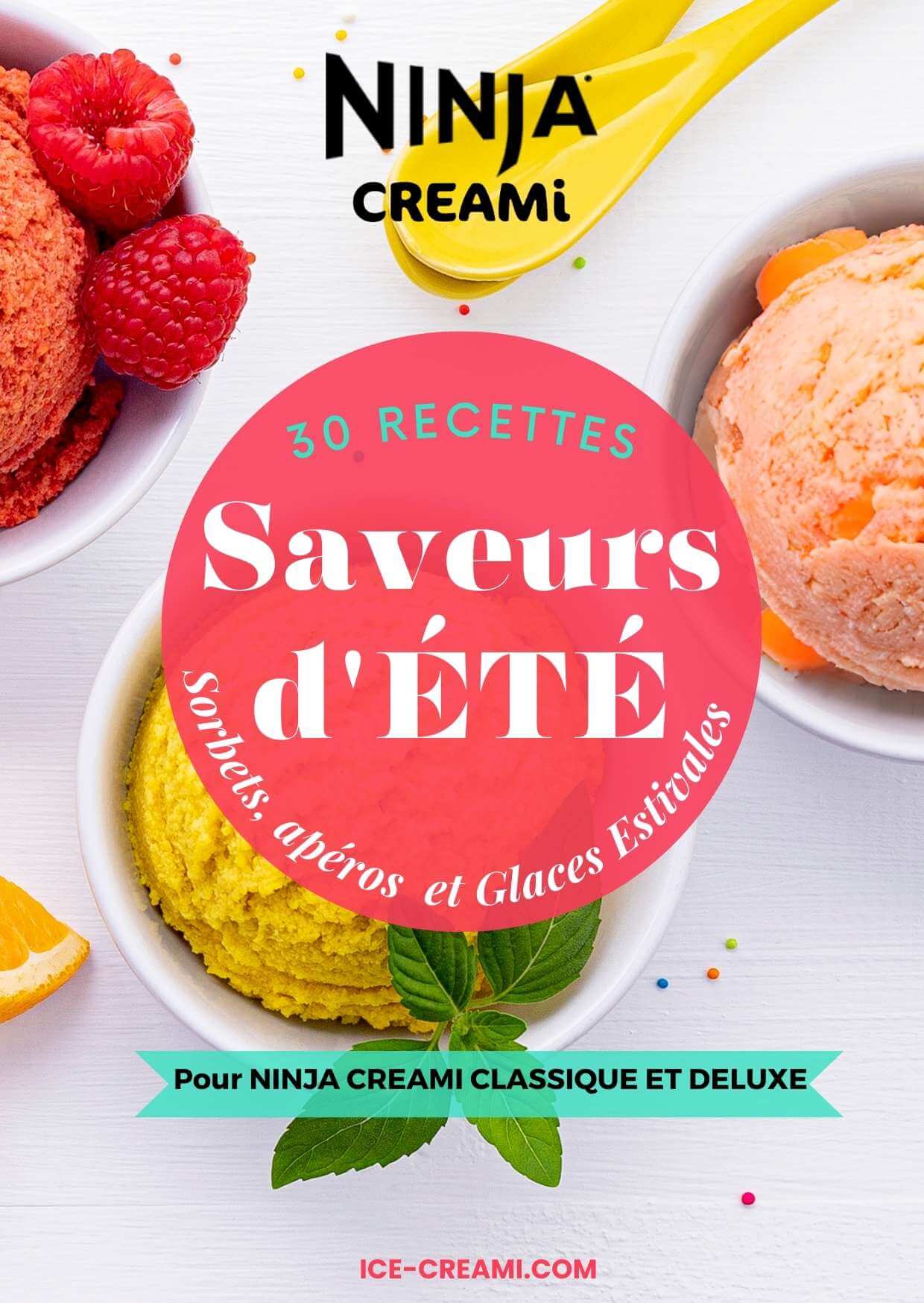 Recettes Ninja Creami : 5 Desserts Glacés Maison Faciles à Réussir - MESA